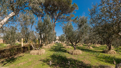 Villa Casino Doxi Stracca Surroundings