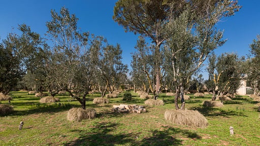 Villa Casino Doxi Stracca Surroundings