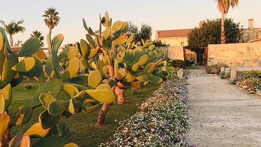 Villa Casitta Andere