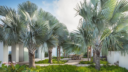 Villa Celadon Others