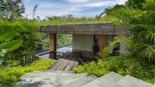 Villa Chameleon Others