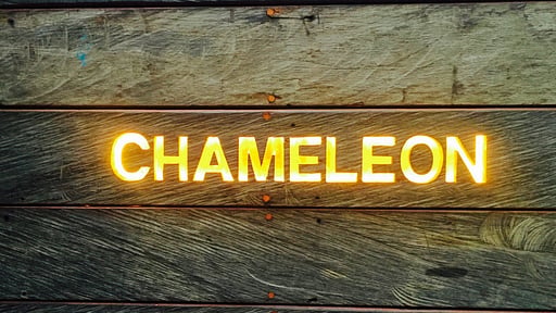 Villa Chameleon Others