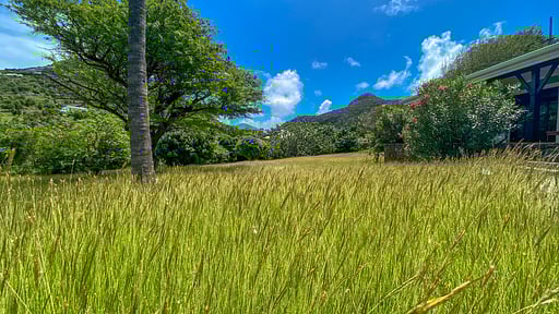 Villa Chanticleer Slaapkamer 4