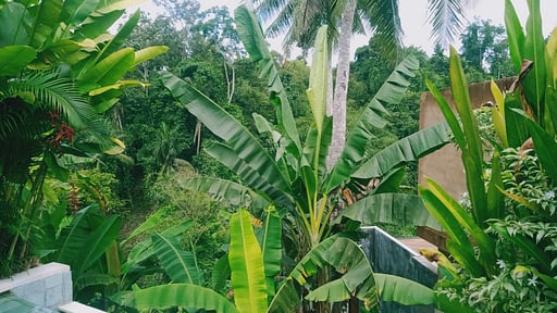Villa Charles Ubud Others