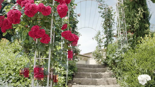 Villa Chianti Fornace Others