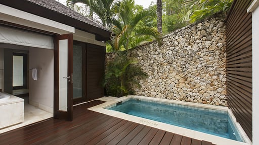 Villa Chintamani Swimming pool 4