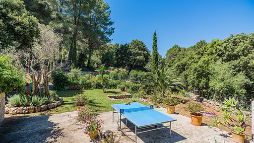 Picassa Surroundings