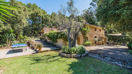 Picassa Surroundings