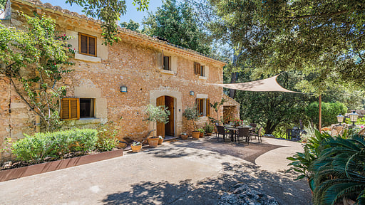 Picassa Surroundings