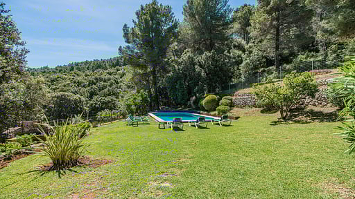 Picassa Surroundings