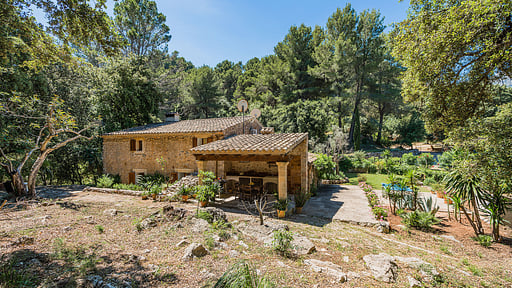 Picassa Surroundings