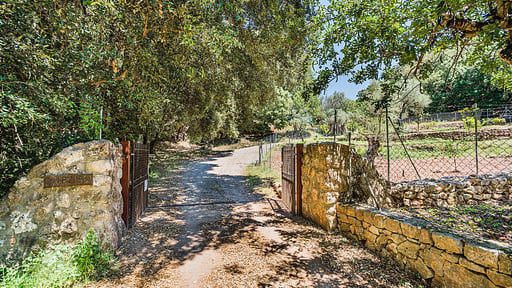 Picassa Surroundings