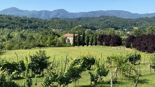 Villa Claudia Tuscany Garden