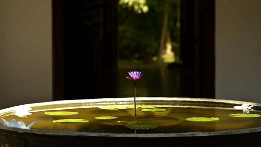 Villa Coconut Grove Autres