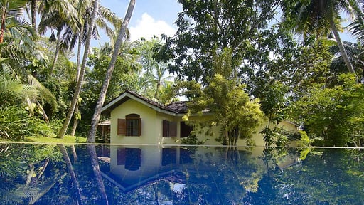 Villa Coconut Grove Piscine