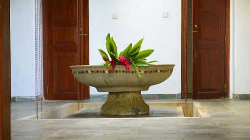 Villa Coconut Grove Autres