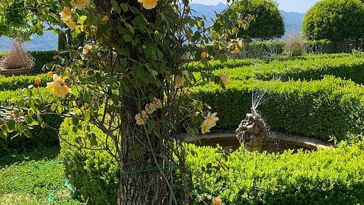 Villa Colletto Garden