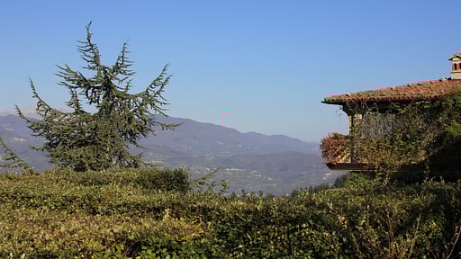 Villa Colletto Garden