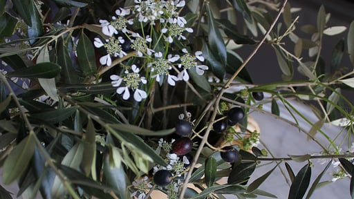 Villa Colletto Others 