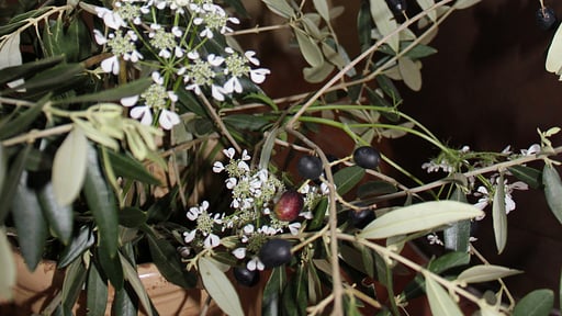 Villa Colletto Others 