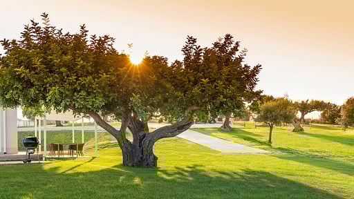 Villa ColleVerde Garden