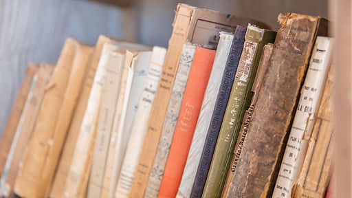 Villa Conchiglia Dorata Others