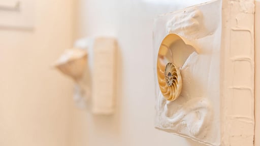 Villa Conchiglia Dorata Others