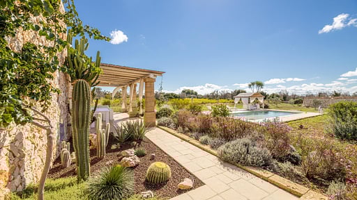 Villa Conchiglia Dorata Surroundings