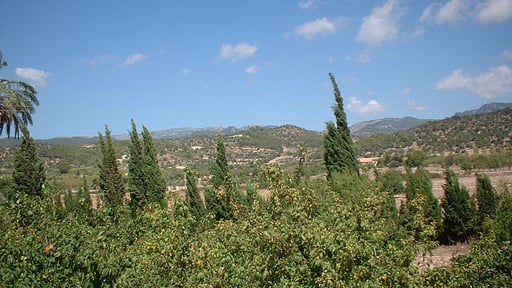 Villa Consell Alrededores