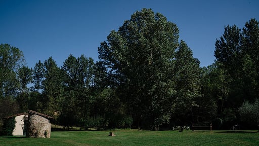 Villa Contado Garden