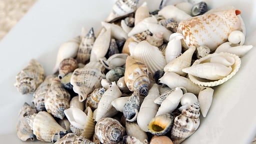 Villa Contemplamare 1 Autres