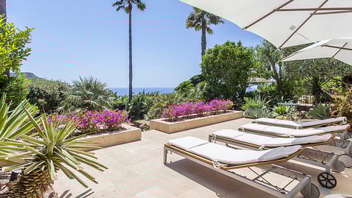 Coral Andratx Terrasse/Veranda