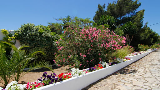 Villa Corona Otros