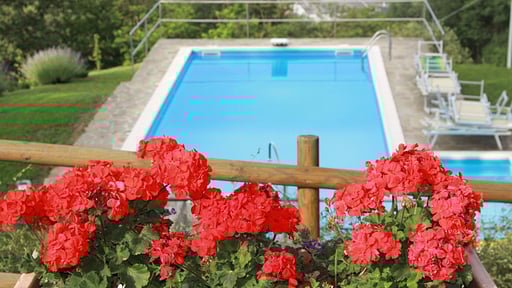 Villa Dafne Swimming pool