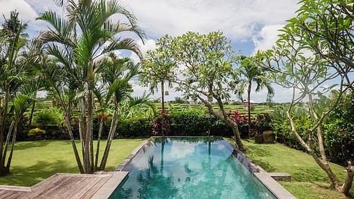 Villa Danka Swimming pool