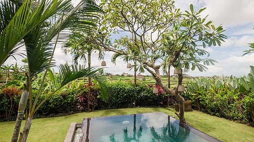 Villa Danka Swimming pool