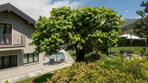 Villa dei Sogni Others