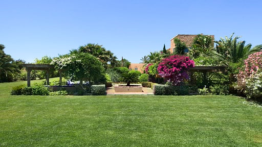 Villa Deluxe Coto Others