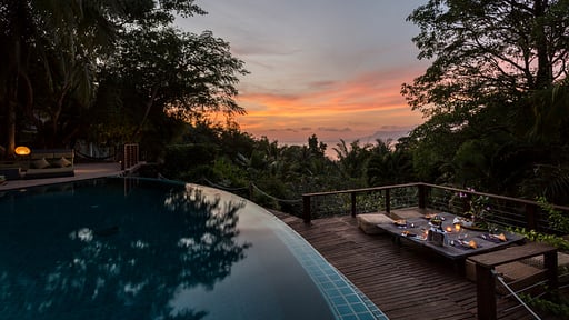 Villa Des Palmes Piscine 2