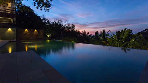 Villa Des Palmes Piscine 1