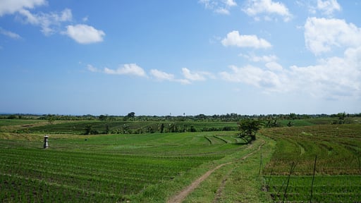 Villa Desa Surroundings