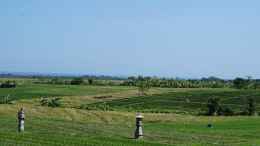 Villa Desa Surroundings
