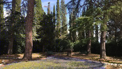 Villa Di Montegemoli Garden