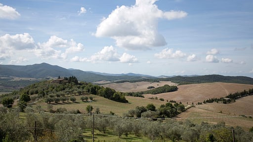 Villa Di Montegemoli Garden