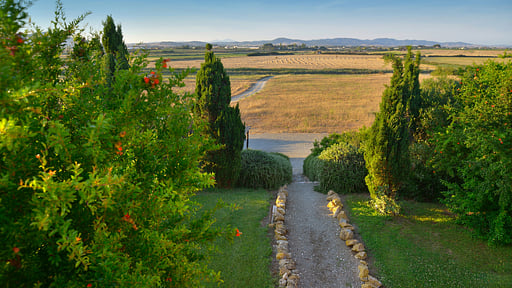 Villa Duna Grande Others 