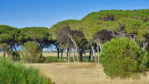 Villa Duna Piccola Surroundings