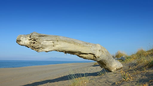 Villa Duna Piccola Beach