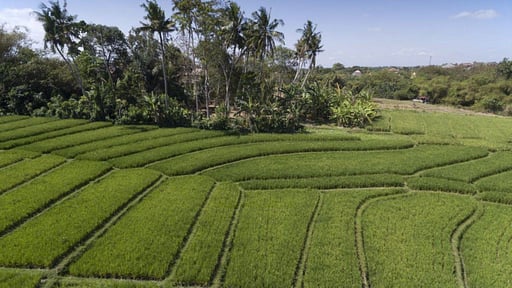 Villa East Indies Umgebung