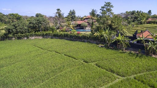 Villa East Indies Umgebung