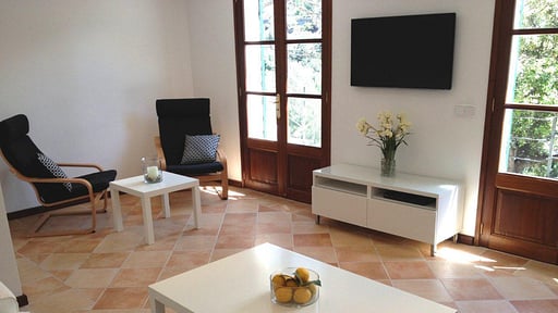 Villa El Niu de L'Oronella Мультимедийная комната